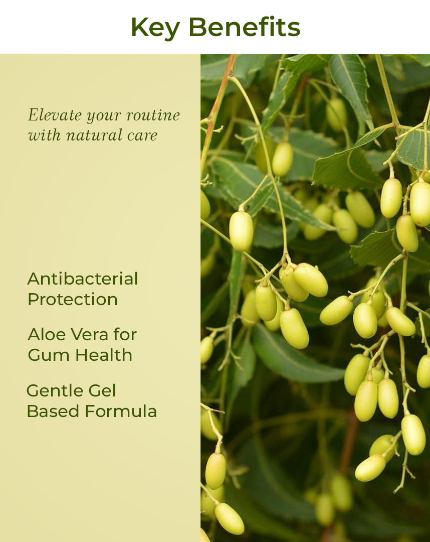 BACTACARE ALOVERA & NEEM GEL TOOTHPASTE 150 GM