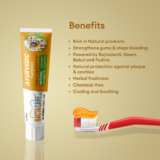 bactacare ayurvedic toothpaste