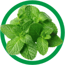 mint