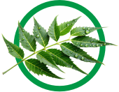 neem