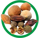 triphala